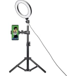 EasyPix MyStudio Studio Kit for Creators Kit Φωτισμού 62020 - Image 10