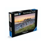 Baltic Resort Ahlbeck Usedom Puzzle 2D 1000pcs 12000644
