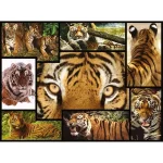 Puzzle 2D 1000pcs 7230058 - Image 2