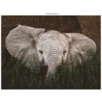 Wildlife Puzzle 2D 3000pcs 7230790 - Image 3