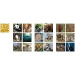 Επιτραπέζιο Παιχνίδι Memo Animal Families για 1-4 Παίκτες 3+ Ετών Ambassador 7230345 - Image 2