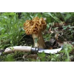 Opinel Νο.08 Σουγιάς Καφέ 001252 - Image 8