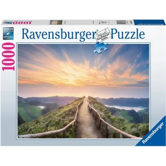 Puzzle 2D 1000pcs 88868