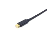 Equip USB 2.0 Cable USB-C male - DisplayPort Γκρι 1m 133426 - Image 2