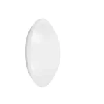 Ledvance Στρογγυλό Εξωτερικό LED Panel 24W με Φυσικό Λευκό Φως 4000K 4058075618046