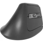 Rapoo EV310M Ασύρματο Εργονομικό Bluetooth Vertical Ποντίκι Μαύρο R-13049 - Image 2