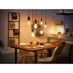 Philips Smart Λάμπα LED 7W για Ντουί E27 και Σχήμα G93 Θερμό Λευκό 550lm Dimmable 929003051901 - Image 5