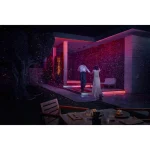 Philips Αδιάβροχη Smart Ταινία LED Hue Flux Outdoor 220V RGBIC Φως 10m 929004611102 - Image 7