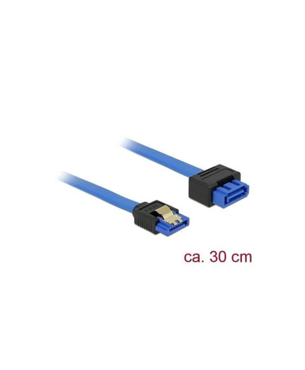 DeLock - 30cm Μπλε 84972