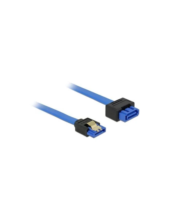 DeLock - 100cm Μπλε 84975