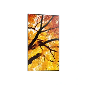 Sharp 60006052 Public Display D-LED VA Full HD 32"