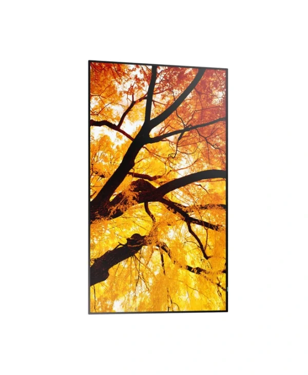 Sharp 60006052 Public Display D-LED VA Full HD 32"
