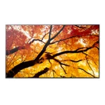 Sharp 60006052 Public Display D-LED VA Full HD 32" - Image 3