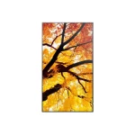 Sharp 60006052 Public Display D-LED VA Full HD 32" - Image 8