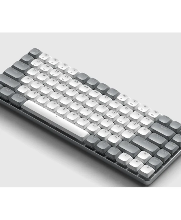 Satechi SM1 Slim Ασύρματο Gaming Μηχανικό Πληκτρολόγιο με Custom Brown διακόπτες και RGB φωτισμό (Αγγλικό US) Πολύχρωμο ST-KSM1LT-EN