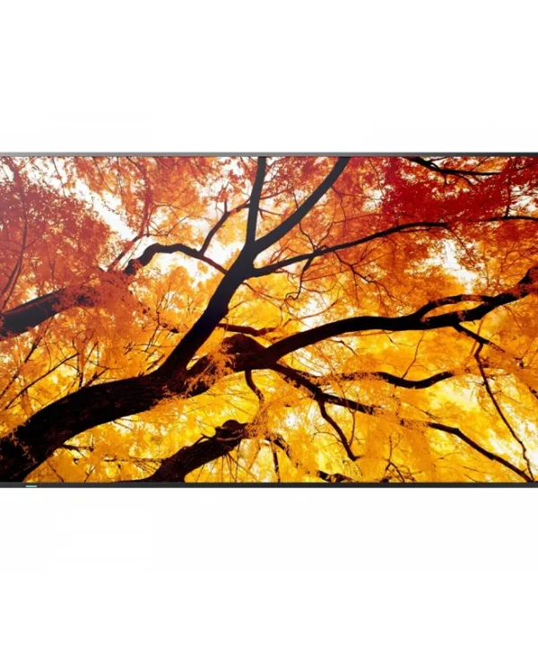 Sharp Public Display 65" 60006056