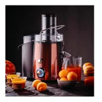 Adler Αποχυμωτής 1000W Μαύρος AD 4129 - Image 8