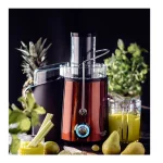 Adler Αποχυμωτής 1000W Μαύρος AD 4129 - Image 9