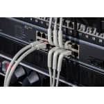 Digitus Direct Attach Copper Cat.6a (Gigabit) Καλώδιο Δικτύου Ethernet 0.5m Γκρι 10τμχ DK-1632-A-005B-10 - Image 2