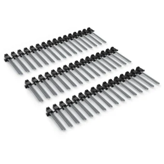 Karcher Βούρτσα για Ηλεκτρική Σκούπα 2.445-244.0