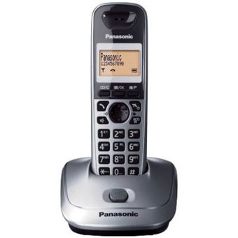 Panasonic Ασύρματο Τηλέφωνο Ασημί KX-TG2511GRM
