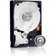 Western Digital Caviar Black 1TB 3.5" Sata III 64MB