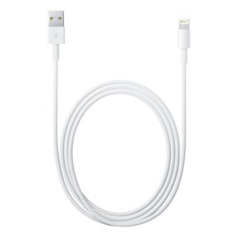 Apple Lightning male - USB-A male MD818ZM/A Blister