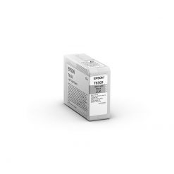 Epson Cartridge Light Light Black C13T850900