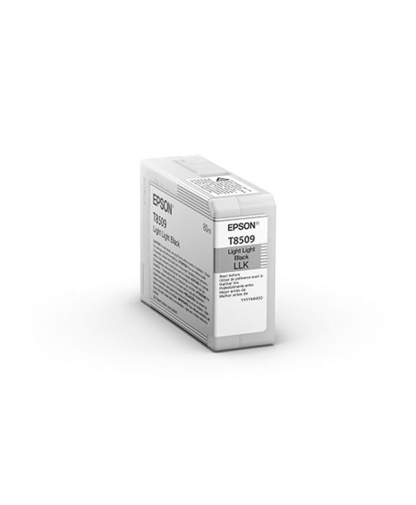 Epson Cartridge Light Light Black C13T850900