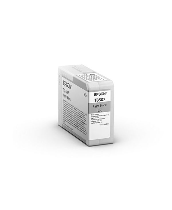 Epson Cartridge Light Black C13T850700