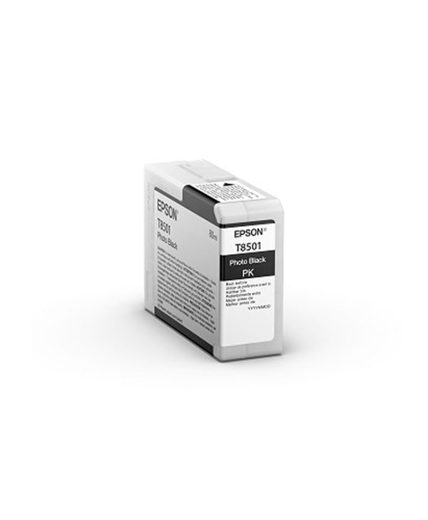 Epson Cartridge Photo Black C13T850100