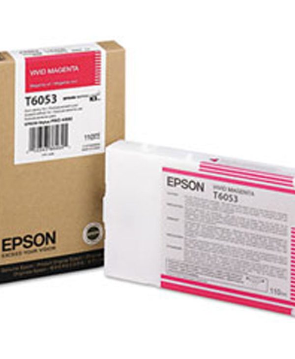 EPSON T605300 MAG. 110ml (C13T605300)